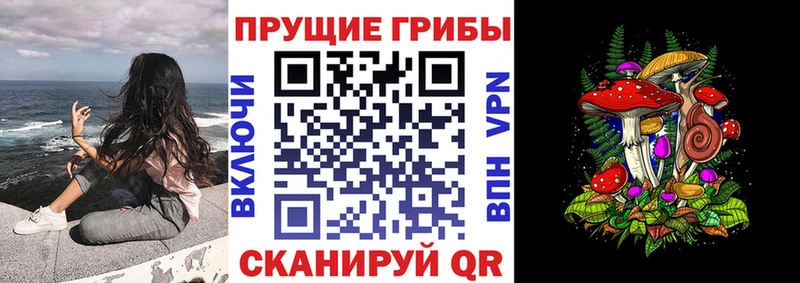 kraken ТОР  дарк нет состав  Галлюциногенные грибы Magic Shrooms  Тында 