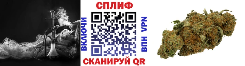 Конопля семена  где найти   мега ССЫЛКА  Тында 